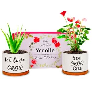 Funny Succulent Plant Pot, 3.15 Inch Cute Ceramic Planter Set |‎ Unique Gifts